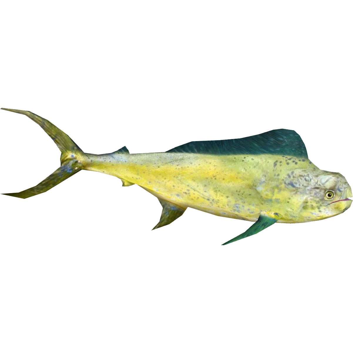 MahiMahi (Artifex) ZT2 Download Library Wiki Fandom