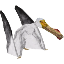 Anhanguera (Renee &amp; Whalebite)