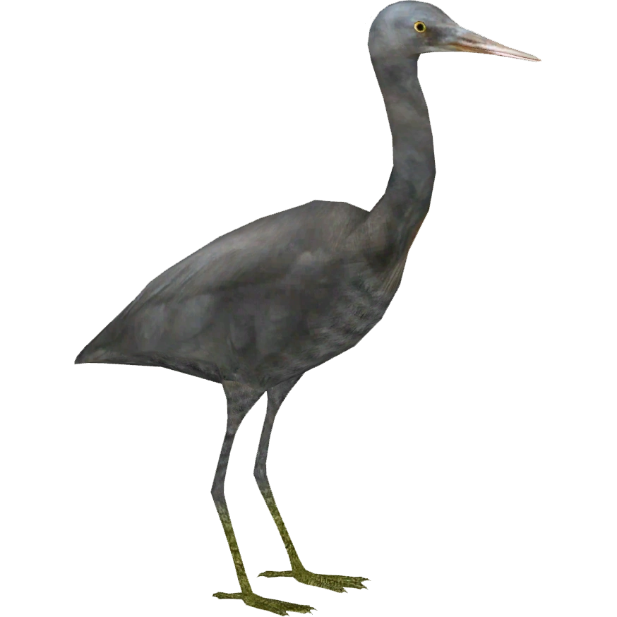 https://vignette.wikia.nocookie.net/zt2downloadlibrary/images/5/5a/Pacific_Reef_Heron_%28Whalebite%29.png/revision/latest?cb=20160723210745