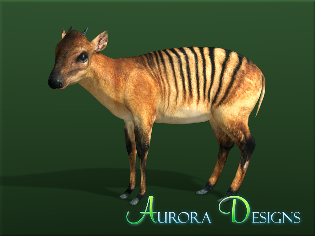 Aurora Designs Zt2 S Download Free Software Aurora Designs Zt2 S Download Free Software