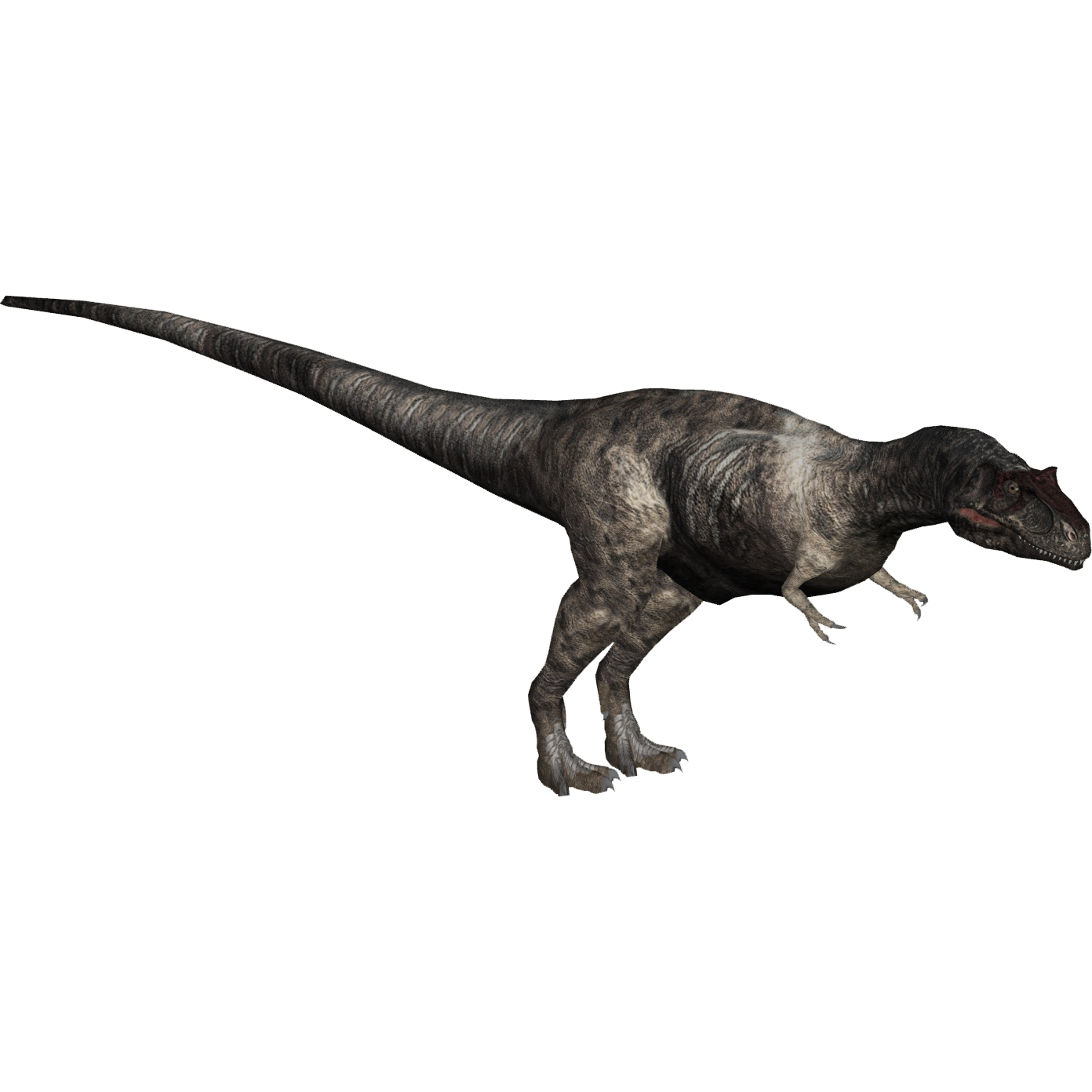 Albertosaurus (Royboy407) | ZT2 Download Library Wiki | FANDOM powered ...