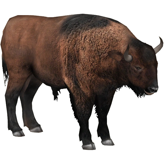 https://vignette.wikia.nocookie.net/zt2downloadlibrary/images/6/64/Steppe_Bison_%28Tamara_Henson%29_Adult_M1.png/revision/latest?cb=20150129202959