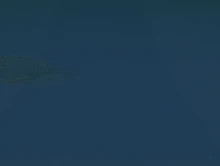 Aquarium Fog (Whalebite)