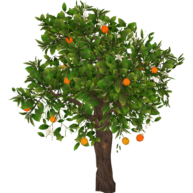 Orange Tree (slice) | ZT2 Download Library Wiki | Fandom