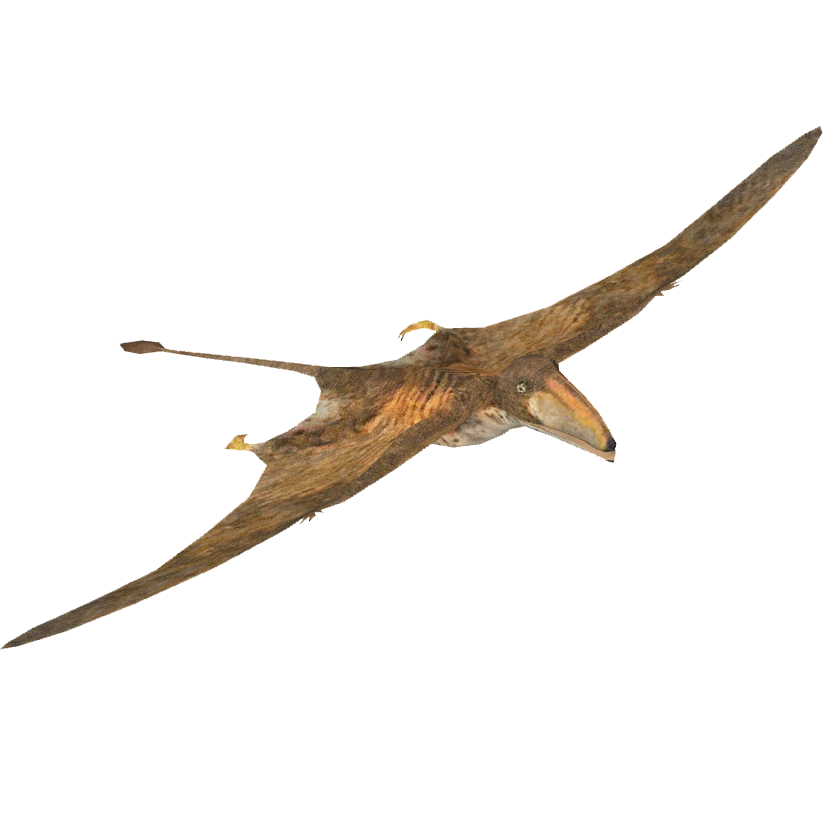 pterosaurs frost science