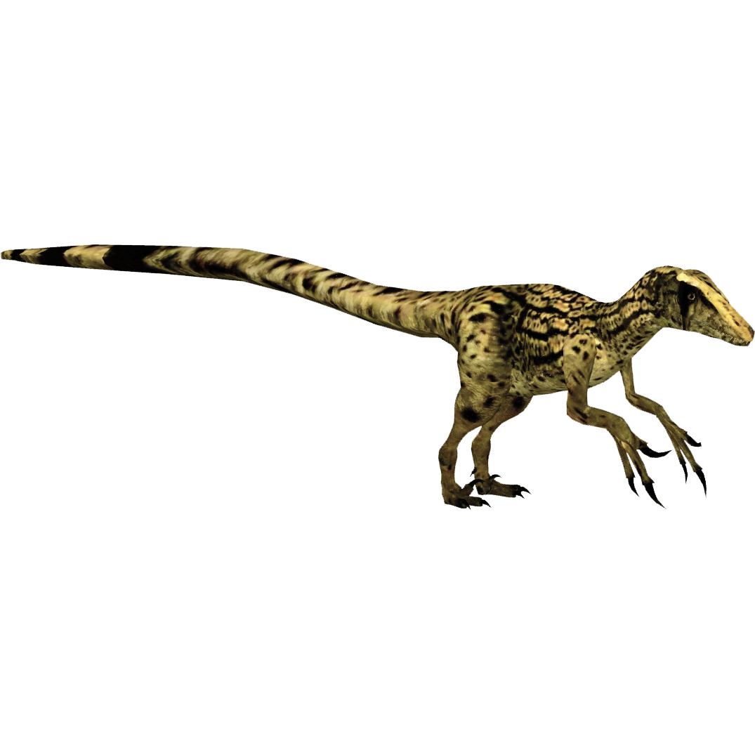 zoo tycoon velociraptor