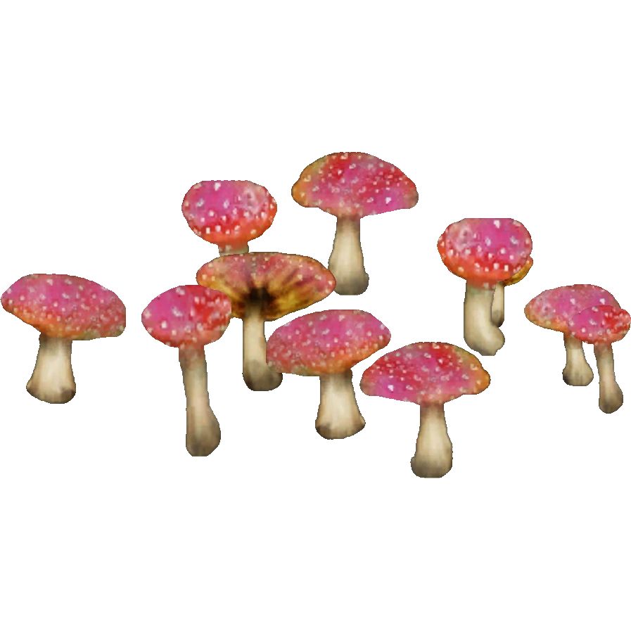 https://vignette.wikia.nocookie.net/zt2downloadlibrary/images/7/75/Toadstools_%28Kangorilaphant%29.png/revision/latest?cb=20190906174534
