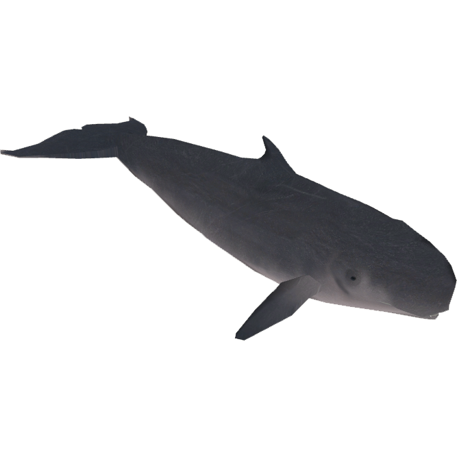 Image - Pygmy Sperm Whale (Zeta-Designs).png | ZT2 Download Library ...