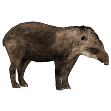 Brazilian Tapir (Tyranachu) | ZT2 Download Library Wiki | FANDOM ...