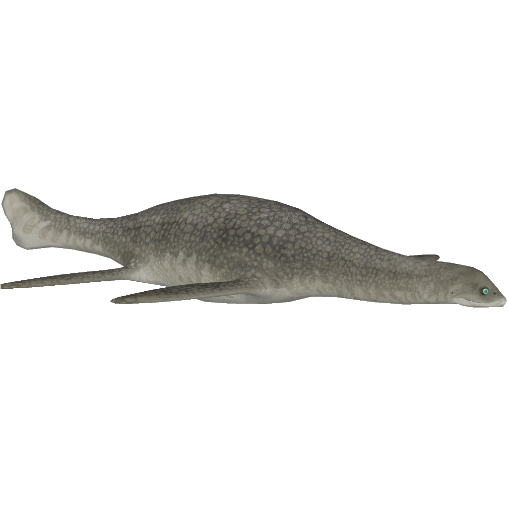 Kaiwhekea (Acinonyx Jubatus) ZT2 Download Library Wiki FANDOM