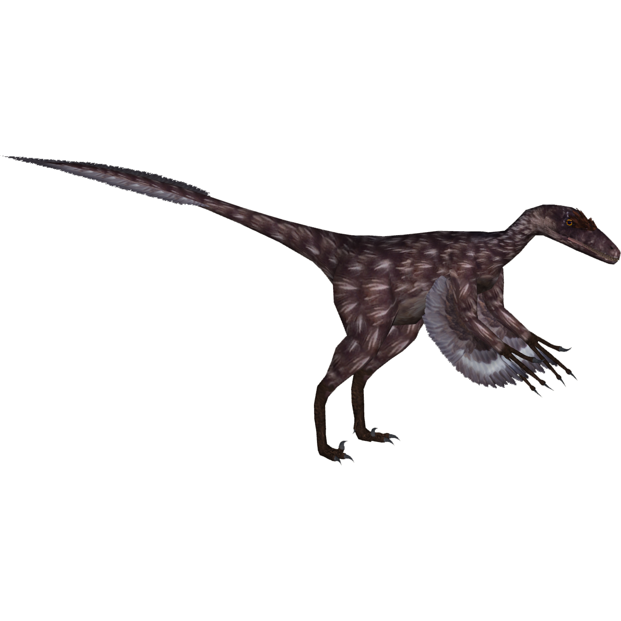 troodon pictures