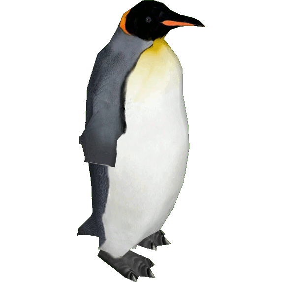 Download Image - King Penguin (Dutch Designs).png | ZT2 Download ...