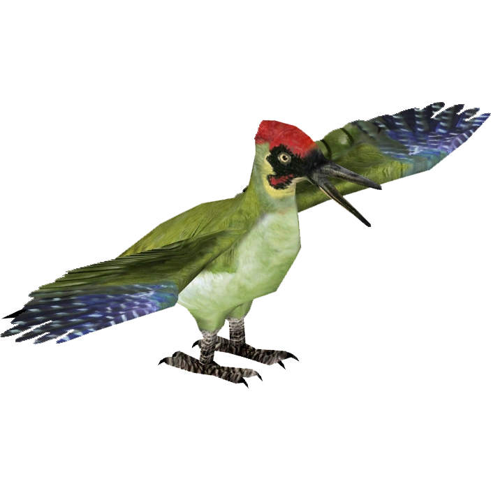 https://vignette.wikia.nocookie.net/zt2downloadlibrary/images/8/80/European_Green_Woodpecker_%28Tamara_Henson%29.png/revision/latest?cb=20150122143010