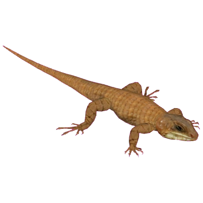 https://vignette.wikia.nocookie.net/zt2downloadlibrary/images/8/80/Transvaal_Girdled_Lizard_Tamara_Henson.png/revision/latest?cb=20190225221344
