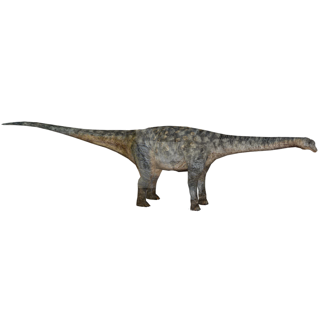 Saltasaurus (TheriDK) ZT2 Download Library Wiki FANDOM
