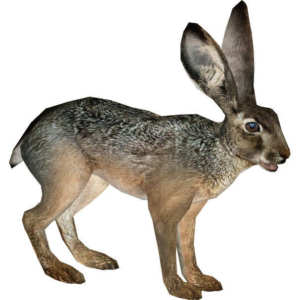 download jack rabbit 2