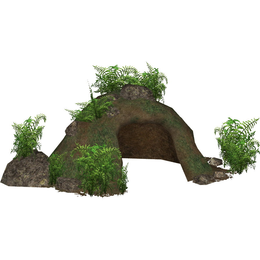 Temperate Forest Burrows Ztabc Team Zt2 Download
