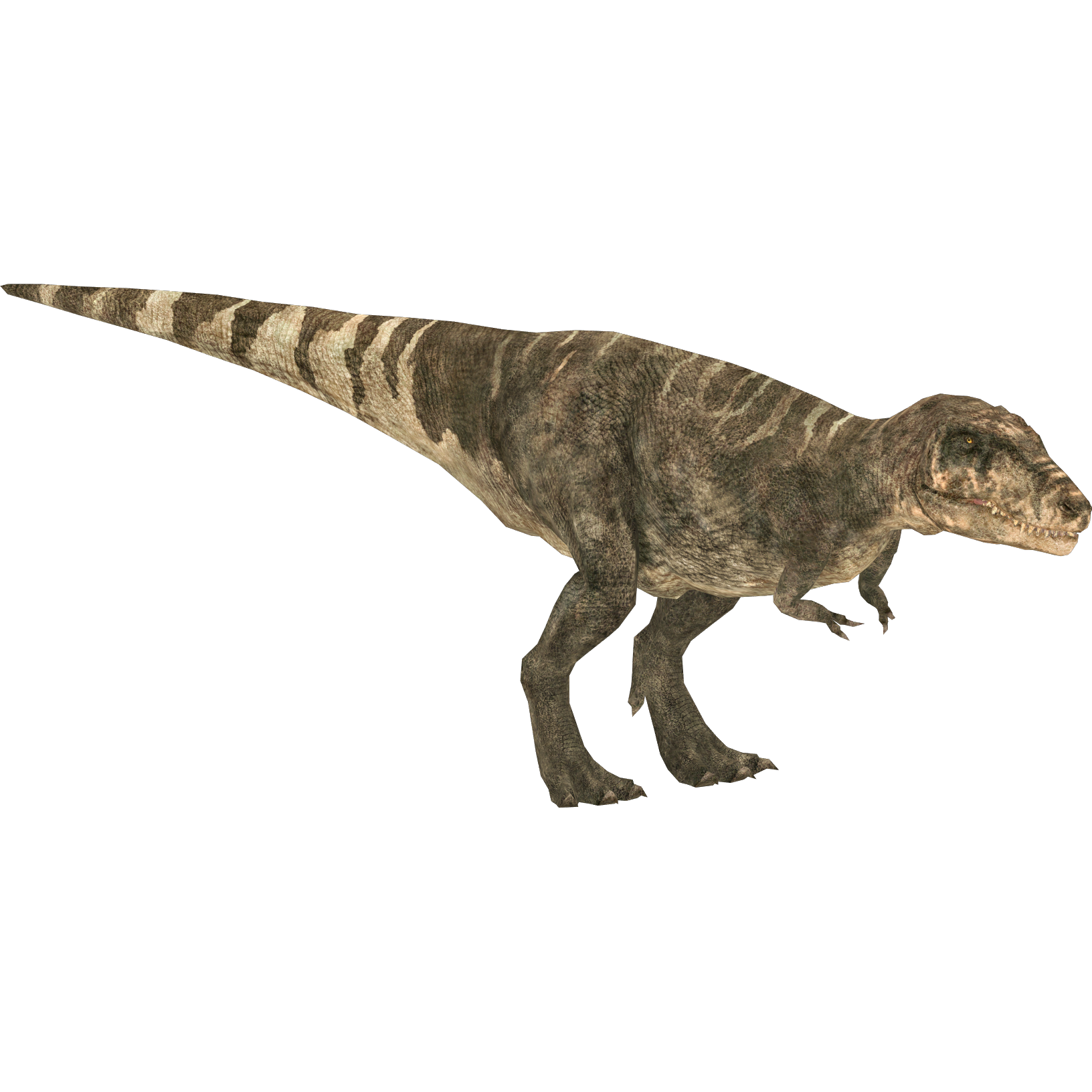 the tarbosaurus