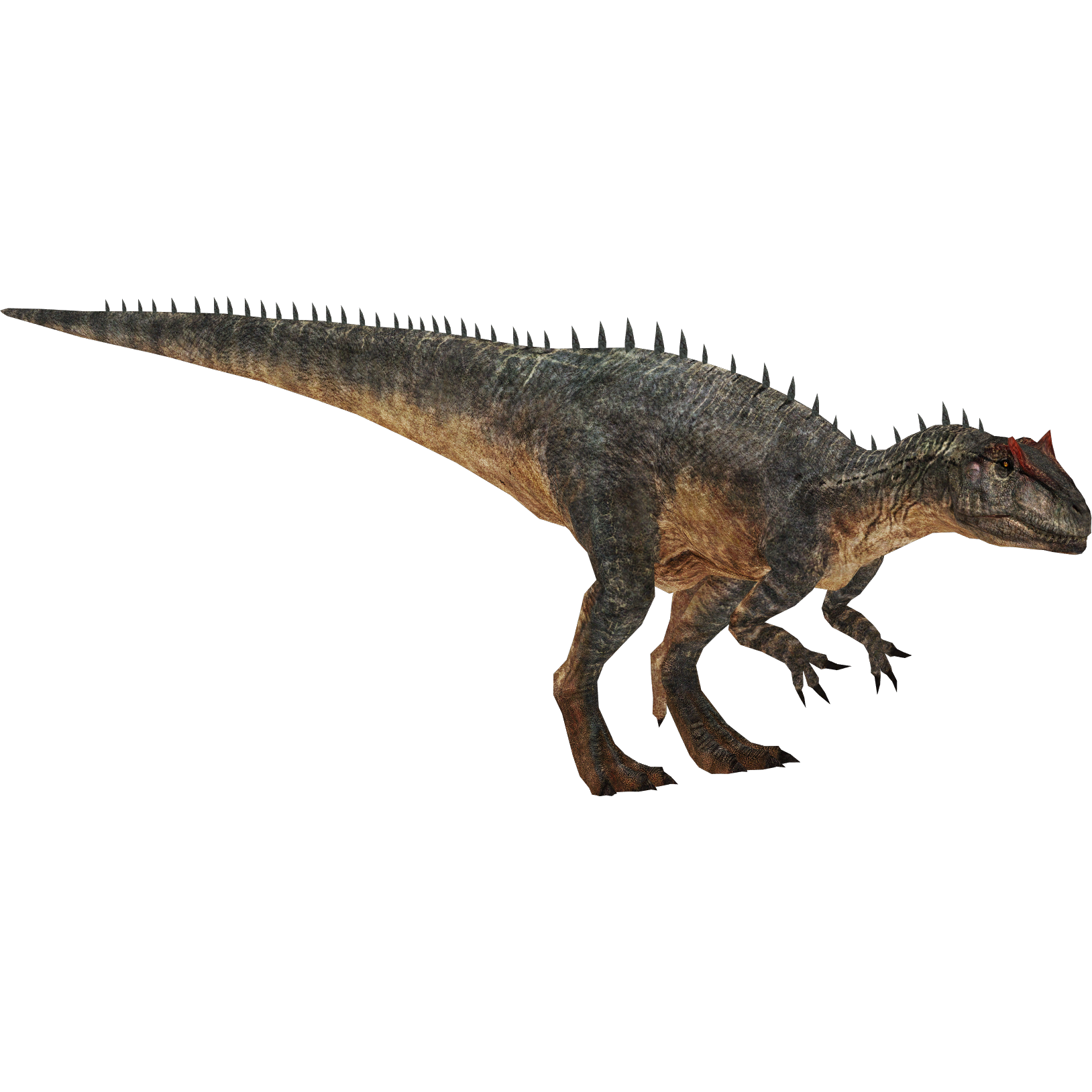 allosaurus jurassic