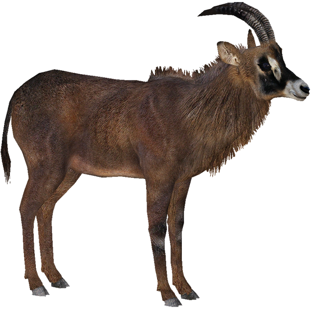 Roan Antelope Ztabc Team Zt2 Download Library Wiki Fandom Powered