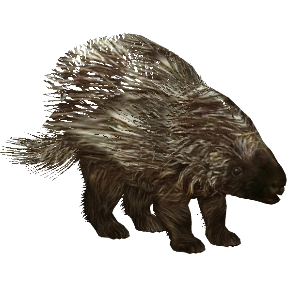 https://vignette.wikia.nocookie.net/zt2downloadlibrary/images/9/95/American_Porcupine_%28Tamara_Henson%29.png/revision/latest?cb=20150123214957