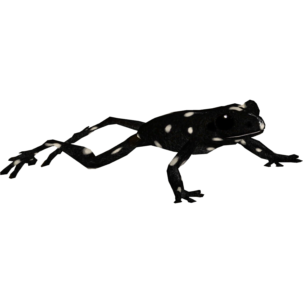 https://vignette.wikia.nocookie.net/zt2downloadlibrary/images/9/95/Mara%C3%B1%C3%B3n_Poison_Frog_%28Terrena_Laxamentum%29.png/revision/latest?cb=20150730140646