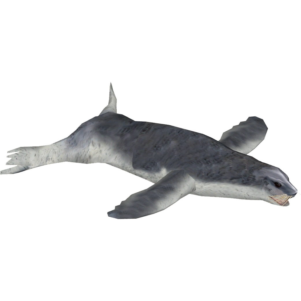 https://vignette.wikia.nocookie.net/zt2downloadlibrary/images/9/98/Leopard_Seal_%28Zoo_Tycoon_Wildlife_Design_Team%29.png/revision/latest?cb=20201004174509