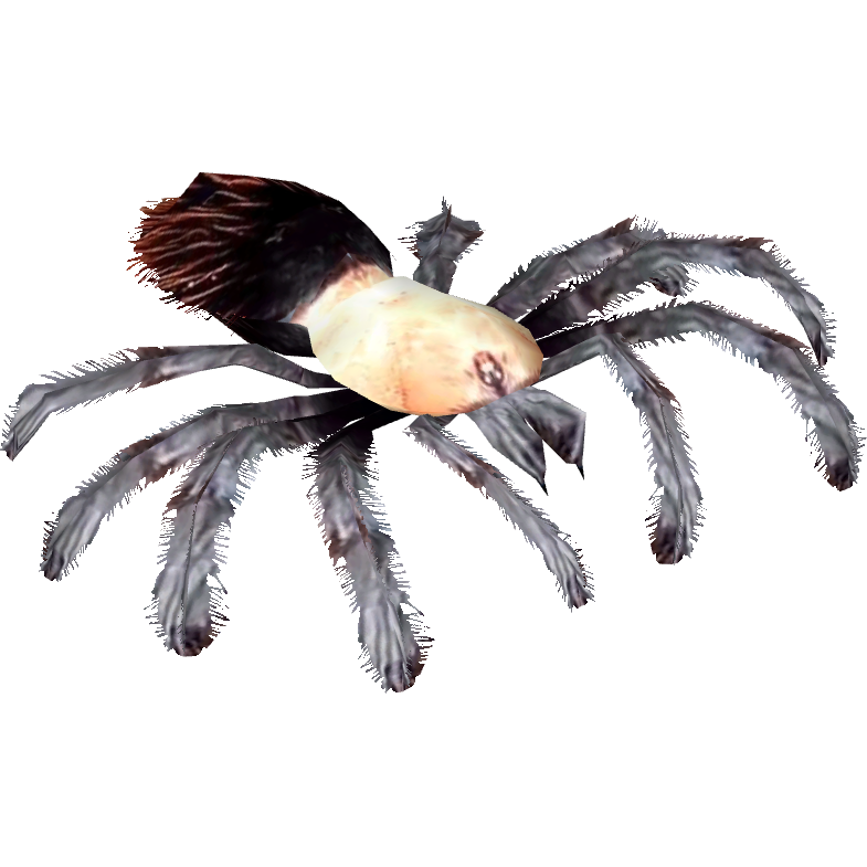 Mexican Golden Redrump Tarantula (Terrena Laxamentum) ZT2 Download Library Wiki Fandom
