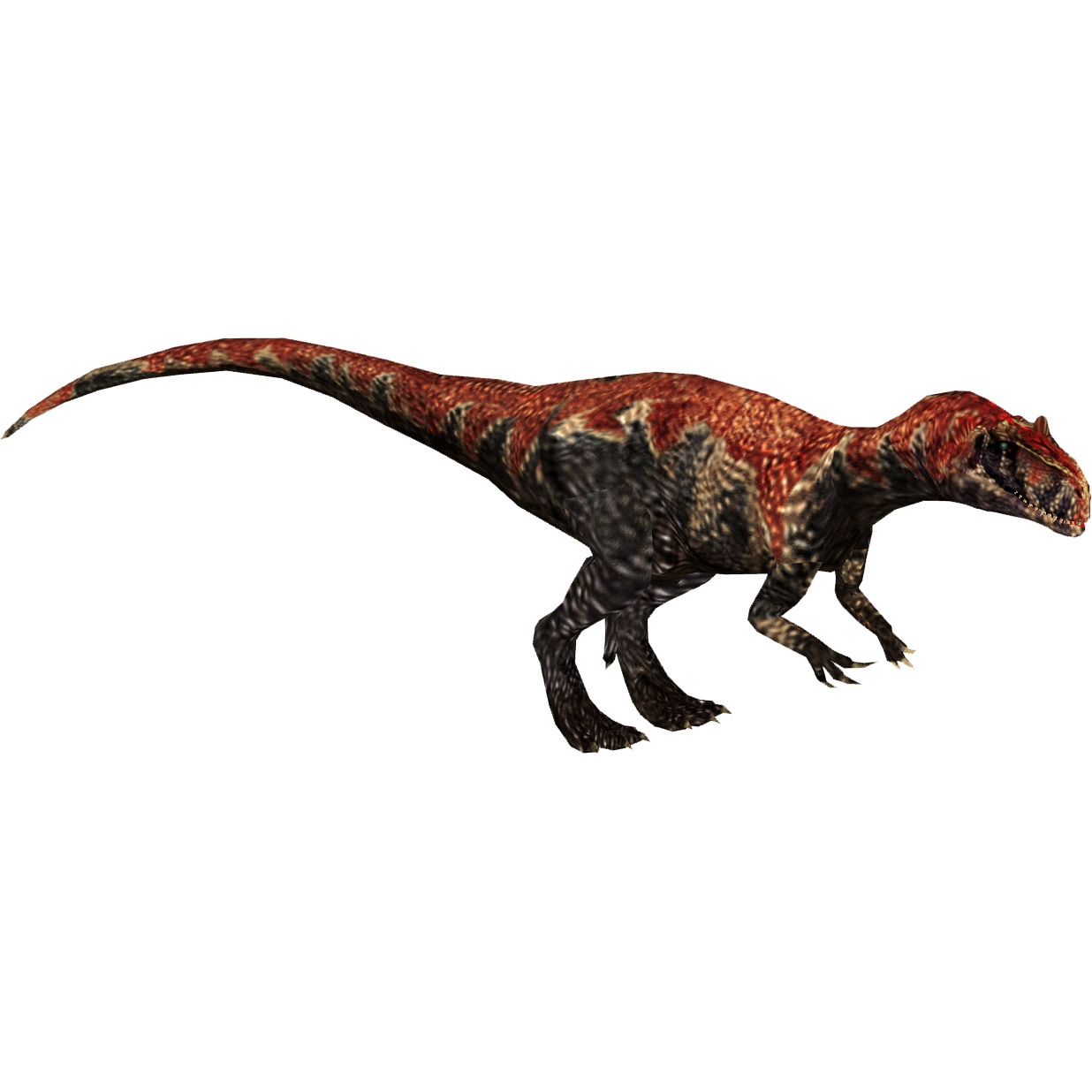 Заурофаганакс. Заурофаганакс и Аллозавр. Saurophaganax динозавр. Заурофаганакс Максимус. Велоцераптор Zoo Tycoon.