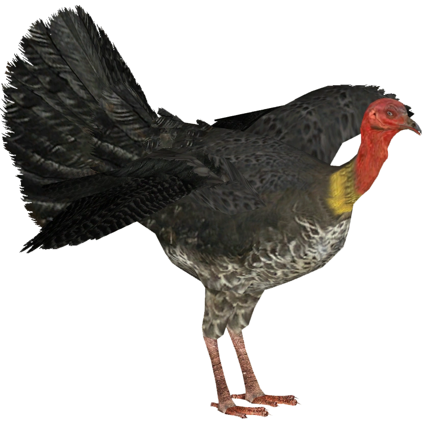 https://vignette.wikia.nocookie.net/zt2downloadlibrary/images/9/99/Australian_Brush_Turkey_%28Tamara_Henson%29M.png/revision/latest?cb=20160722025441
