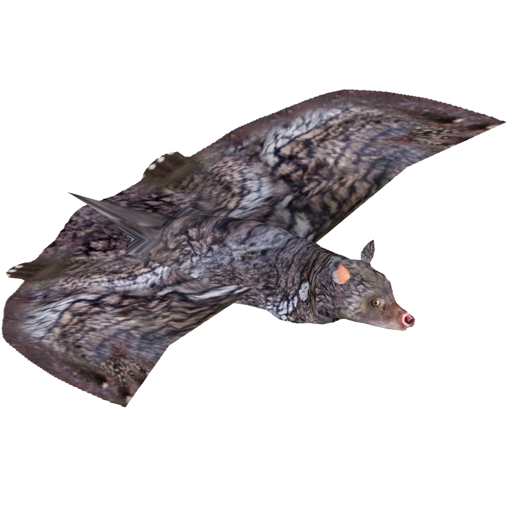 https://vignette.wikia.nocookie.net/zt2downloadlibrary/images/9/9b/Malayan_Colugo_%28Tamara_Henson%29.png/revision/latest?cb=20191023052529