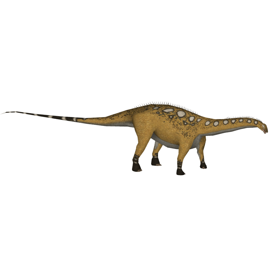 Apatosaurus Bunyupy Wrangler97 Zt2 Library Wiki Apatosaurus Bunyupy Wrangler97 Zt2 Library Wiki Fandom Powered By Wikia