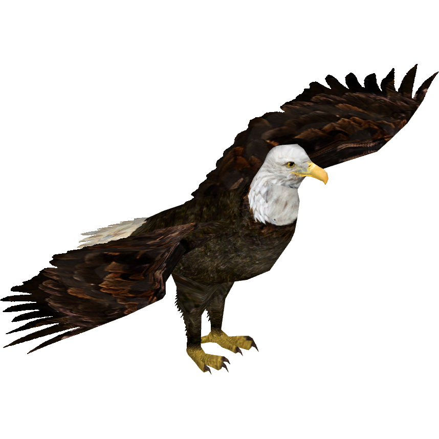 zt2 eagle