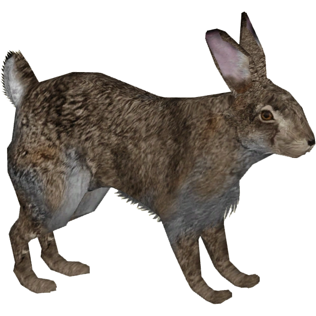 https://vignette.wikia.nocookie.net/zt2downloadlibrary/images/a/a4/Eastern_Cottontail_%28Tamara_Henson%29.png/revision/latest?cb=20160726042907