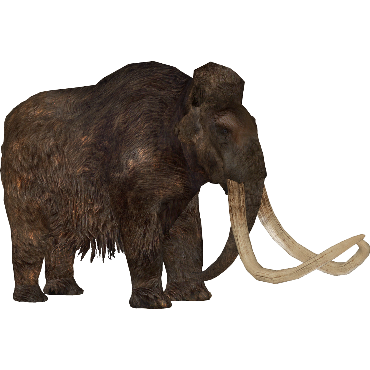 Woolly Mammoth (Zoo Tycoon 2 Thailand) | ZT2 Download Library Wiki | Fandom