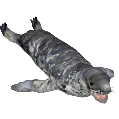 https://vignette.wikia.nocookie.net/zt2downloadlibrary/images/a/a9/Grey_Seal_%28Tamara_Henson%29.png/revision/latest?cb=20150122145233