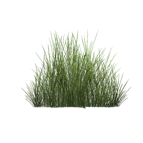 Image - SteppeGrass (Fauna).png | ZT2 Download Library Wiki | FANDOM ...