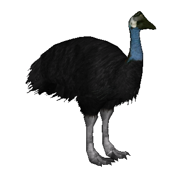 Dwarf Cassowary (Budgielover101, Jannick & Penguinman) | ZT2 Download ...