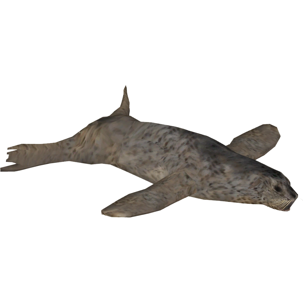 https://vignette.wikia.nocookie.net/zt2downloadlibrary/images/b/b1/Spotted_Seal_%28Zoo_Tycoon_Wildlife_Design_Team%29.png/revision/latest?cb=20201003125855