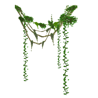 Image - Vines.png | ZT2 Download Library Wiki | FANDOM powered by Wikia