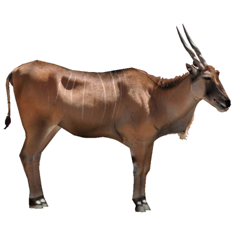 480?cb=20150217153434