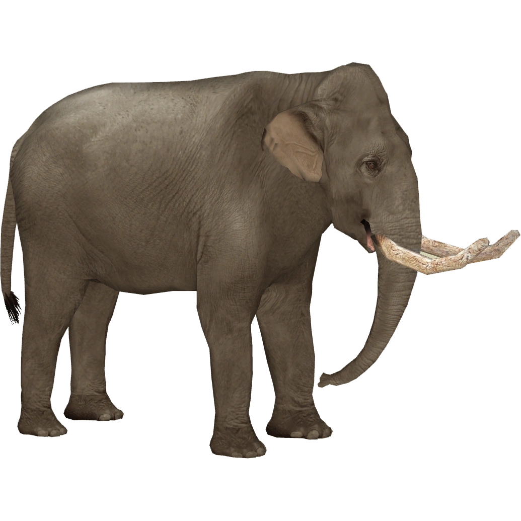 Dwarf Sicilian Elephant (Tamara Henson) ZT2 Download Library Wiki