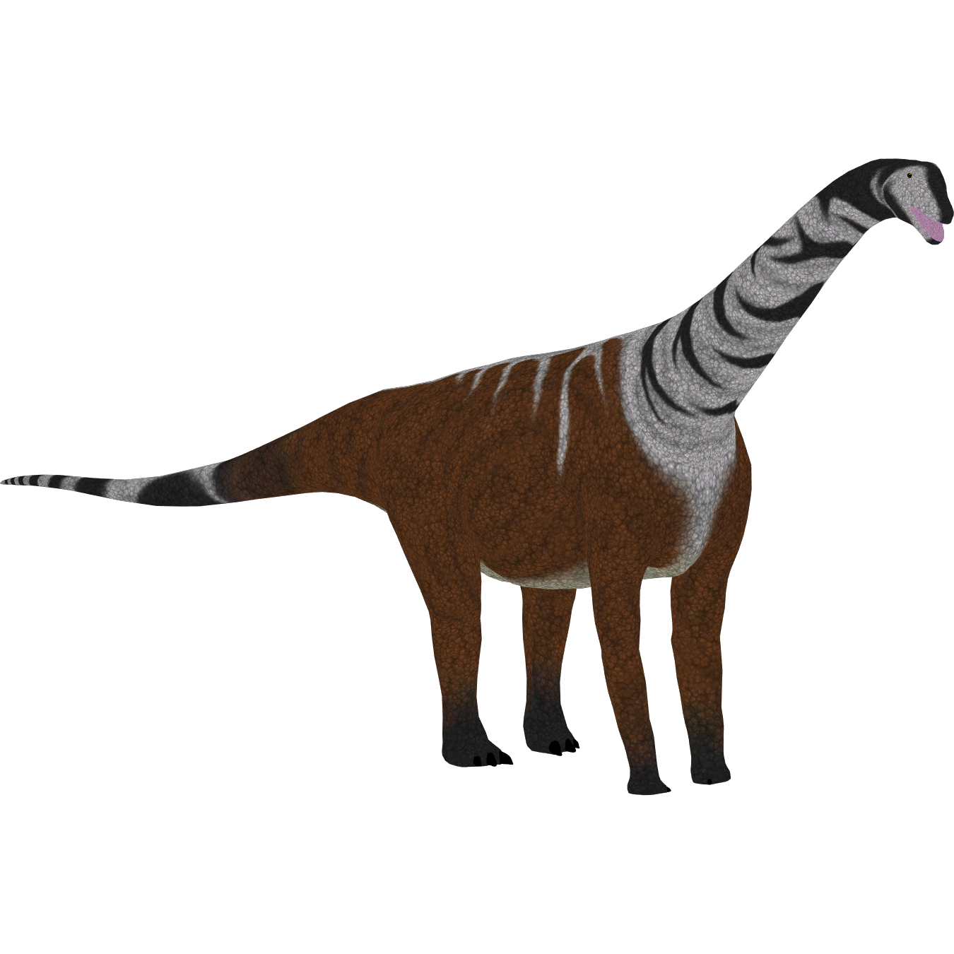 camarasaurus