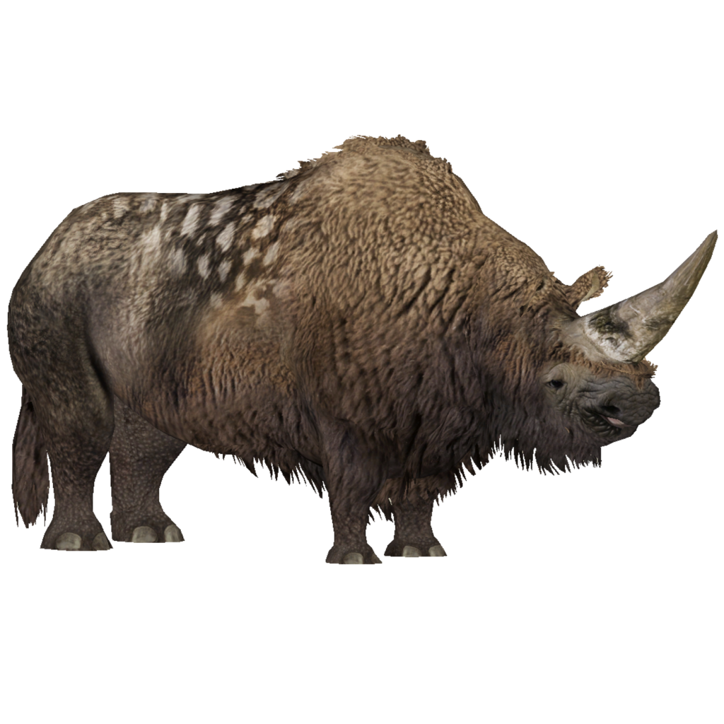 Elasmotherium (Eryel) | ZT2 Download Library Wiki | FANDOM ...