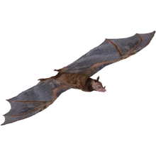 Spectral Bat (Tamara Henson)