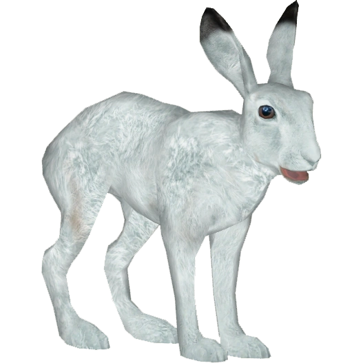 https://vignette.wikia.nocookie.net/zt2downloadlibrary/images/c/c3/Arctic_Hare_%28Tamara_Henson%29.png/revision/latest?cb=20150123221143