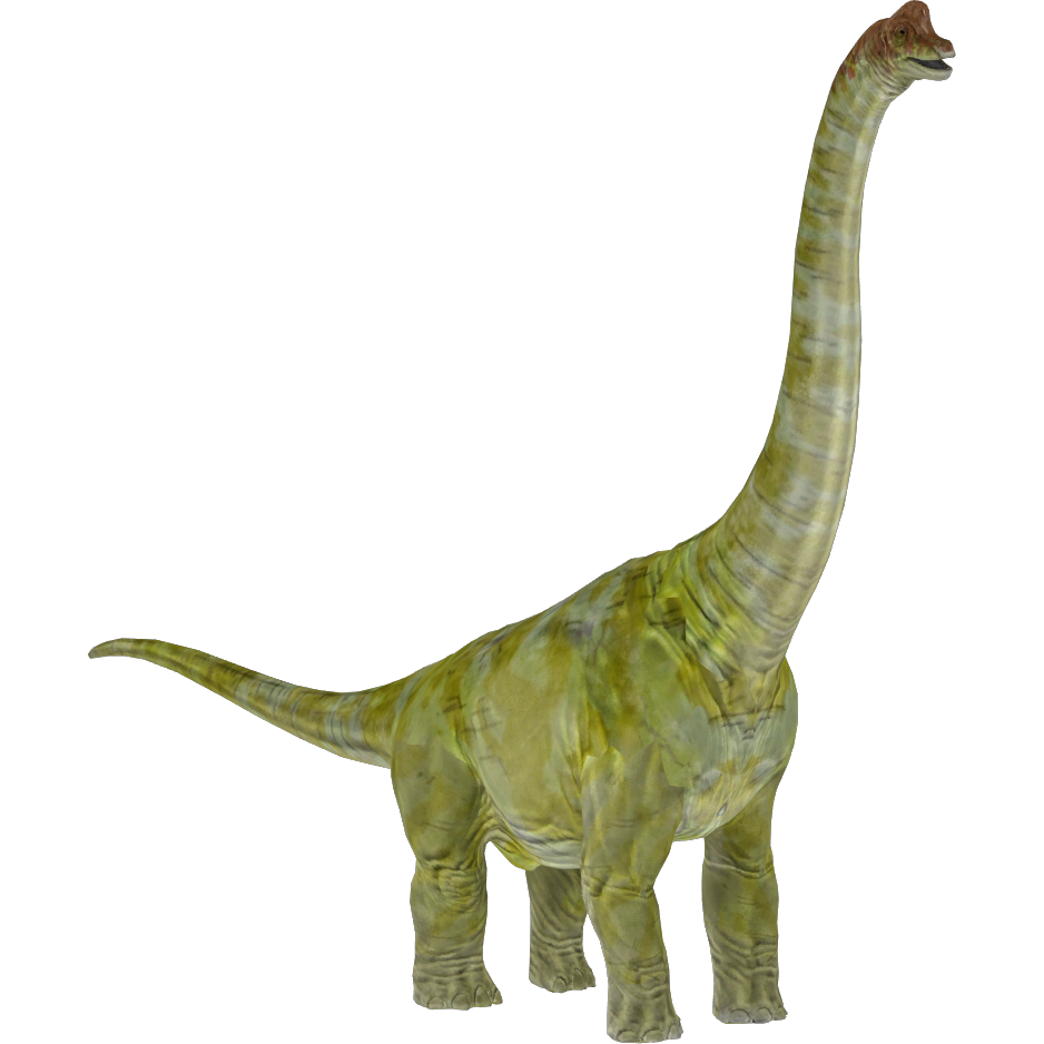 wiki brachiosaurus