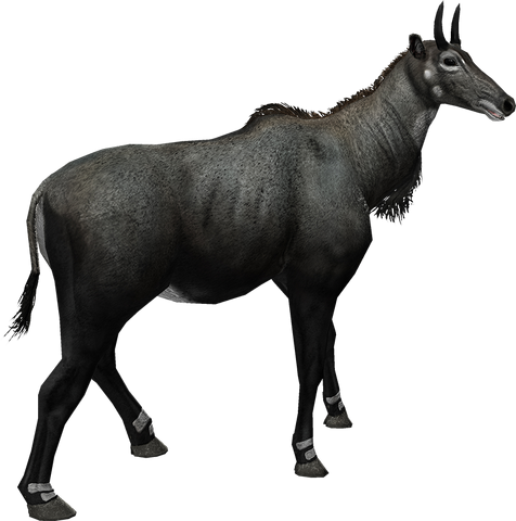 Image - Nilgai.png | ZT2 Download Library Wiki | FANDOM powered by Wikia