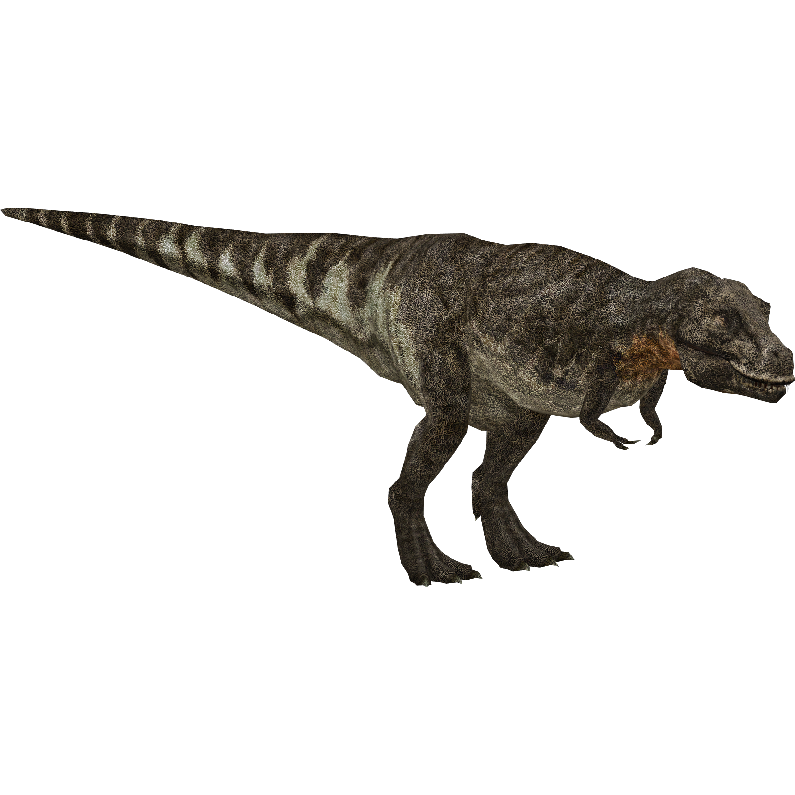 tyrannosaurus king of the dinosaurs