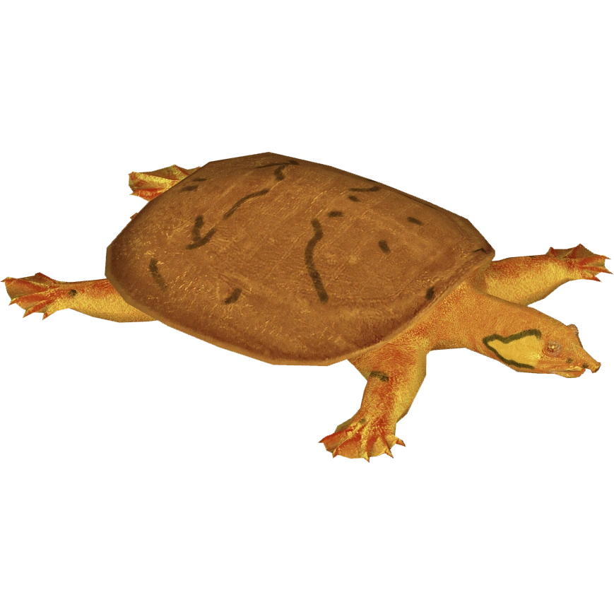 https://vignette.wikia.nocookie.net/zt2downloadlibrary/images/c/cb/Wattle-necked_Softshell_Turtle_%28Terrena_Laxamentum%29.png/revision/latest?cb=20150730005611